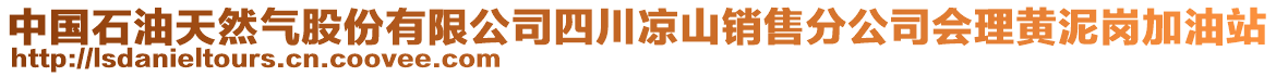 中國(guó)石油天然氣股份有限公司四川涼山銷(xiāo)售分公司會(huì)理黃泥崗加油站