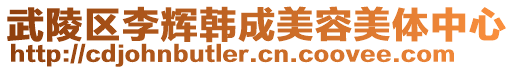 武陵區(qū)李輝韓成美容美體中心