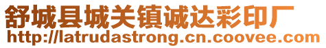 舒城縣城關(guān)鎮(zhèn)誠達(dá)彩印廠
