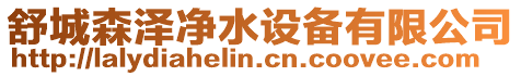 舒城森澤凈水設備有限公司