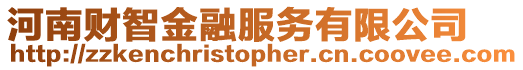 河南財智金融服務有限公司