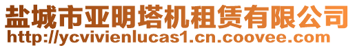鹽城市亞明塔機租賃有限公司