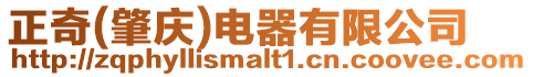 正奇(肇慶)電器有限公司