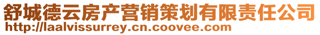 舒城德云房產營銷策劃有限責任公司