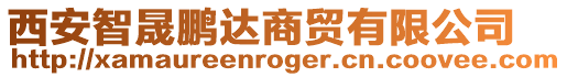 西安智晟鵬達商貿有限公司