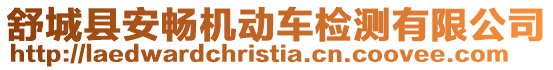 舒城縣安暢機動車檢測有限公司
