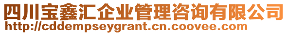 四川寶鑫匯企業(yè)管理咨詢有限公司