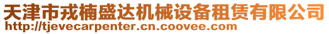 天津市戎楠盛達(dá)機(jī)械設(shè)備租賃有限公司