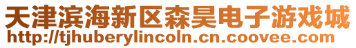 天津濱海新區森昊電子游戲城
