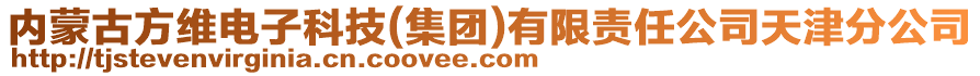 內(nèi)蒙古方維電子科技(集團)有限責任公司天津分公司