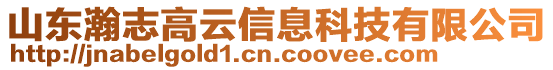 山東瀚志高云信息科技有限公司