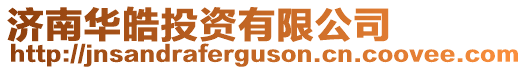 濟南華皓投資有限公司