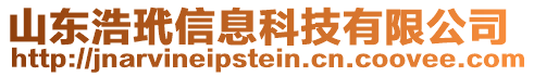 山東浩玳信息科技有限公司