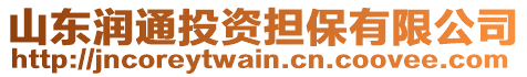 山東潤通投資擔保有限公司