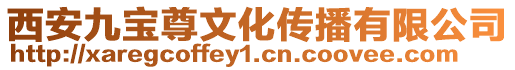 西安九寶尊文化傳播有限公司