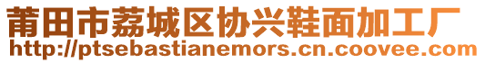 莆田市荔城區(qū)協(xié)興鞋面加工廠