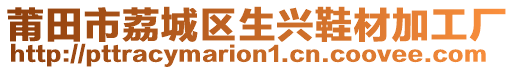 莆田市荔城區(qū)生興鞋材加工廠