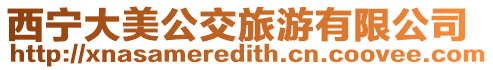 西寧大美公交旅游有限公司
