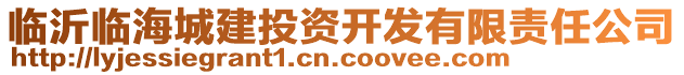 臨沂臨海城建投資開發(fā)有限責任公司