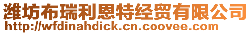 濰坊布瑞利恩特經(jīng)貿(mào)有限公司