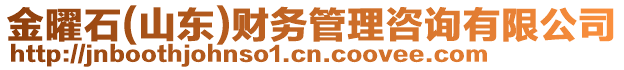 金曜石(山東)財務管理咨詢有限公司