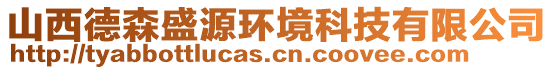 山西德森盛源環(huán)境科技有限公司