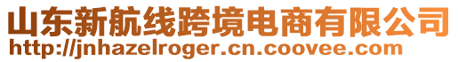 山東新航線跨境電商有限公司