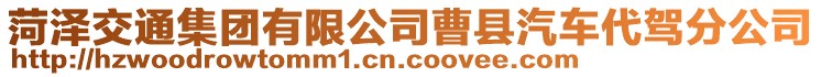 菏澤交通集團(tuán)有限公司曹縣汽車代駕分公司