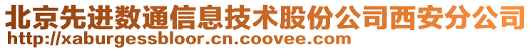 北京先進數通信息技術股份公司西安分公司