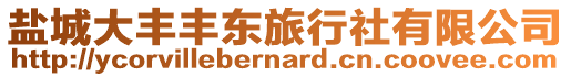 鹽城大豐豐東旅行社有限公司