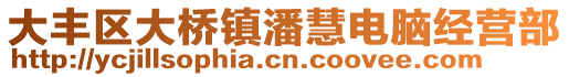 大豐區(qū)大橋鎮(zhèn)潘慧電腦經(jīng)營(yíng)部