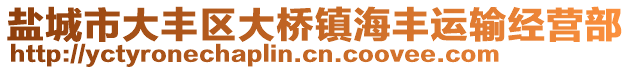 鹽城市大豐區(qū)大橋鎮(zhèn)海豐運(yùn)輸經(jīng)營(yíng)部