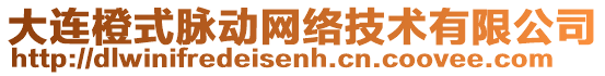 大連橙式脈動網絡技術有限公司