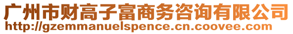 廣州市財(cái)高子富商務(wù)咨詢有限公司