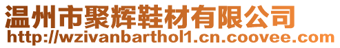溫州市聚輝鞋材有限公司