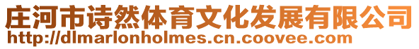莊河市詩然體育文化發展有限公司