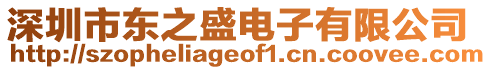 深圳市東之盛電子有限公司