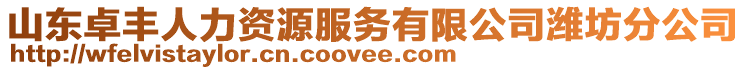 山東卓豐人力資源服務(wù)有限公司濰坊分公司