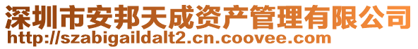 深圳市安邦天成資產(chǎn)管理有限公司