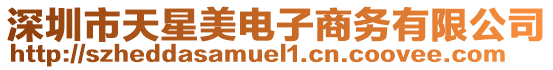 深圳市天星美電子商務(wù)有限公司