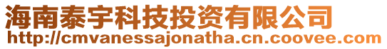 海南泰宇科技投資有限公司