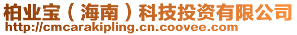 柏業(yè)寶（海南）科技投資有限公司