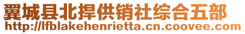 翼城縣北捍供銷社綜合五部