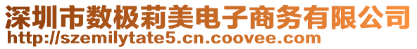 深圳市數(shù)極莉美電子商務有限公司