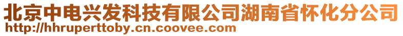 北京中電興發科技有限公司湖南省懷化分公司