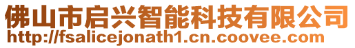 佛山市啟興智能科技有限公司