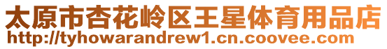 太原市杏花嶺區王星體育用品店