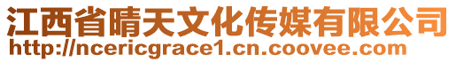 江西省晴天文化傳媒有限公司