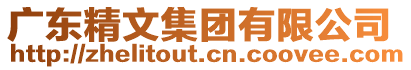 廣東精文集團(tuán)有限公司