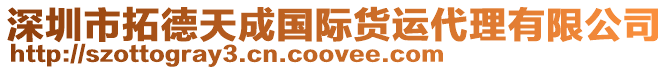 深圳市拓德天成國際貨運代理有限公司